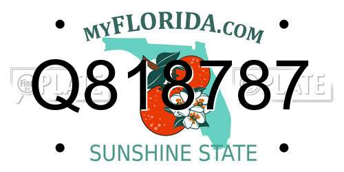 Q818787 Florida License Plate