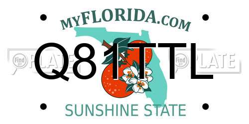Q81TTL Florida License Plate