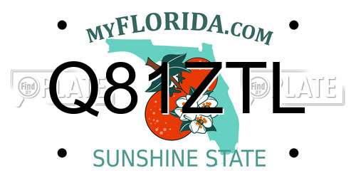 Q81ZTL Florida License Plate