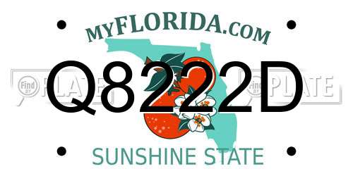 Q8222D Florida License Plate