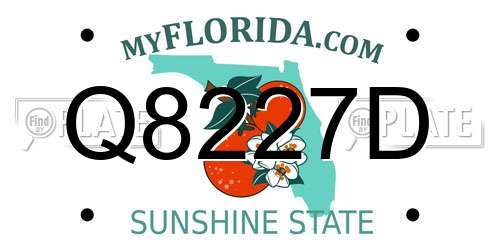 Q8227D Florida License Plate