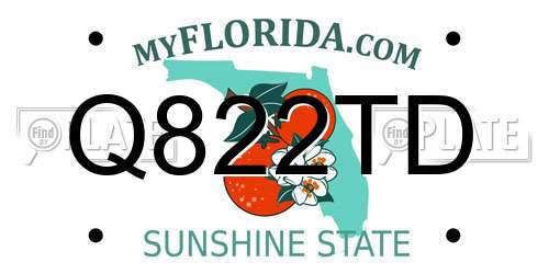 Q822TD Florida License Plate