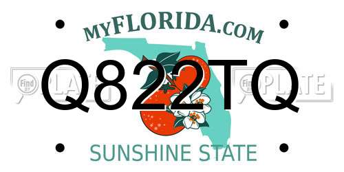 Q822TQ Florida License Plate