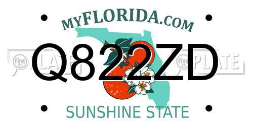 Q822ZD Florida License Plate