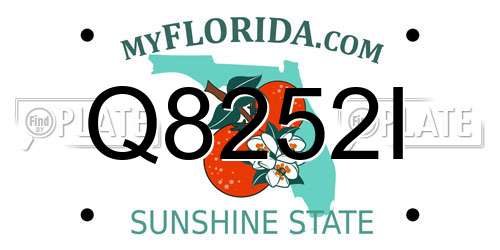Q8252I Florida License Plate