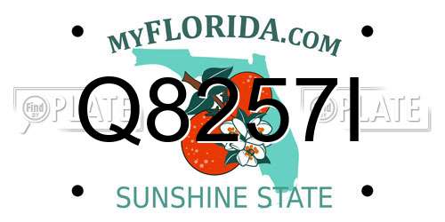 Q8257I Florida License Plate