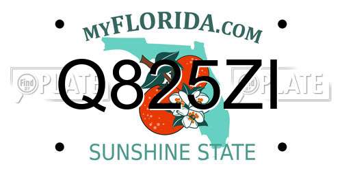 Q825ZI Florida License Plate