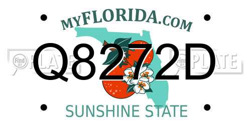 Q8272D Florida License Plate