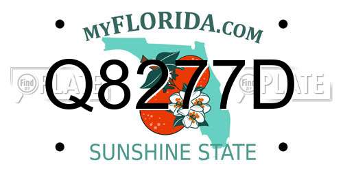 Q8277D Florida License Plate