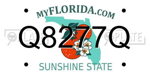 Q8277Q Florida License Plate