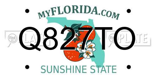 Q827TO Florida License Plate