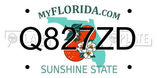 Q827ZD Florida License Plate