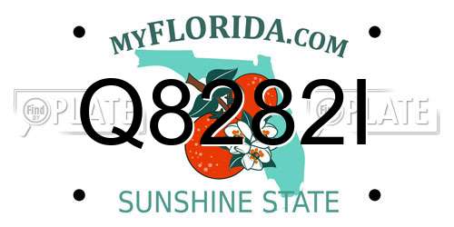 Q8282I Florida License Plate