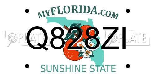Q828ZI Florida License Plate
