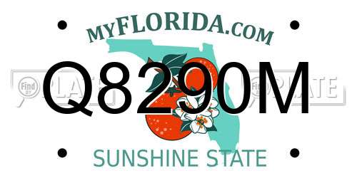 Q8290M Florida License Plate