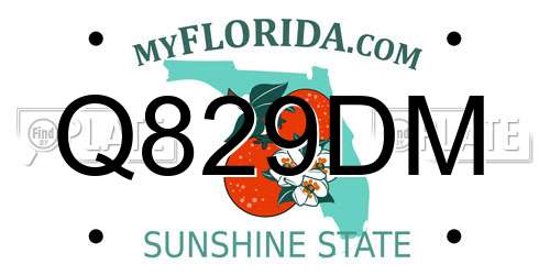 Q829DM Florida License Plate