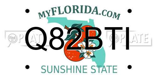 Q82BTI Florida License Plate