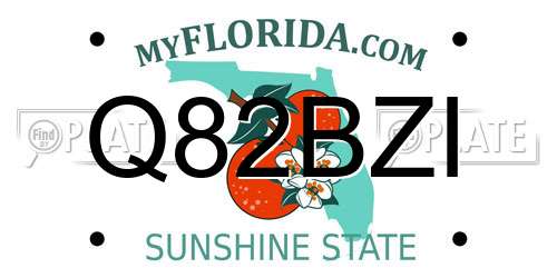 Q82BZI Florida License Plate