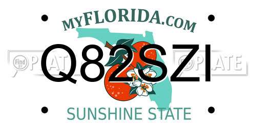 Q82SZI Florida License Plate