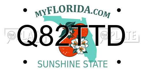 Q82TTD Florida License Plate