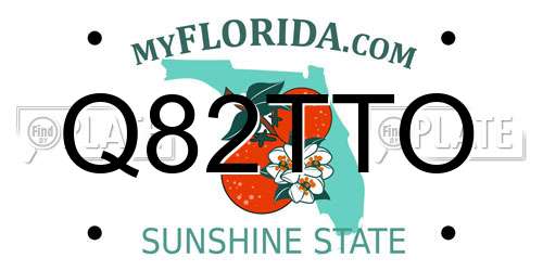 Q82TTO Florida License Plate