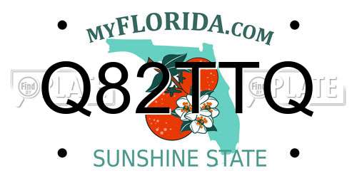 Q82TTQ Florida License Plate