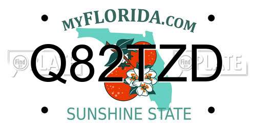 Q82TZD Florida License Plate