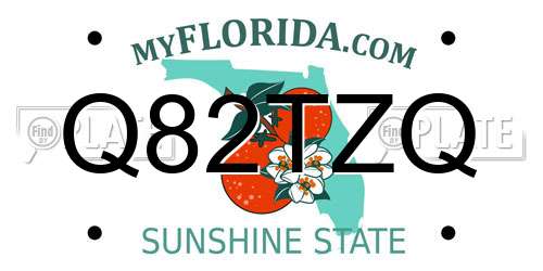 Q82TZQ Florida License Plate