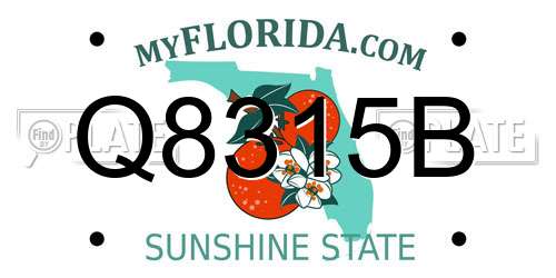 Q8315B Florida License Plate
