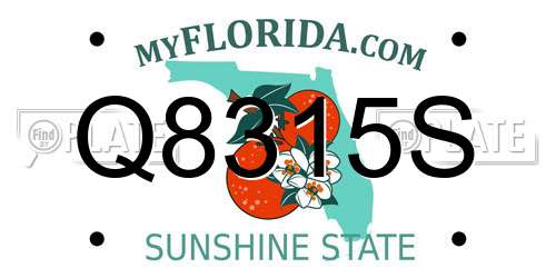 Q8315S Florida License Plate
