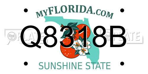 Q8318B Florida License Plate