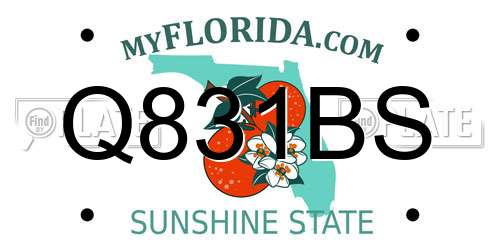 Q831BS Florida License Plate