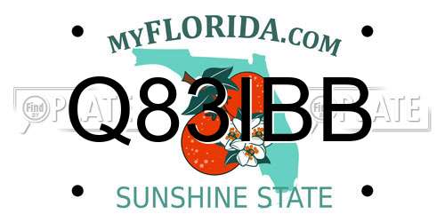 Q83IBB Florida License Plate