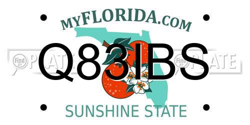 Q83IBS Florida License Plate