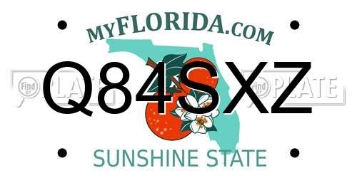 Q84SXZ Florida License Plate