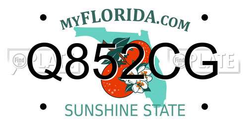 Q852CG Florida License Plate