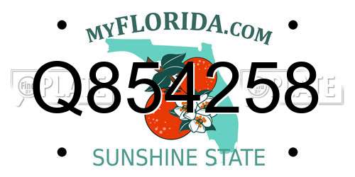 Q854258 Florida License Plate