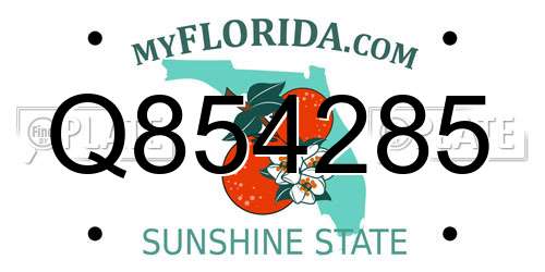 Q854285 Florida License Plate