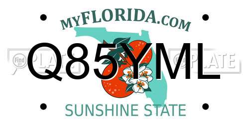 Q85YML Florida License Plate