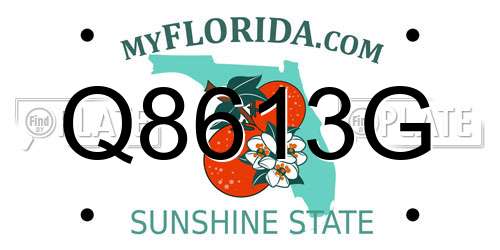 Q8613G Florida License Plate