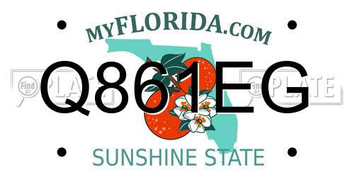 Q861EG Florida License Plate
