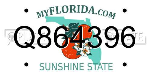 Q864396 Florida License Plate