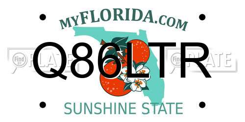 Q86LTR Florida License Plate