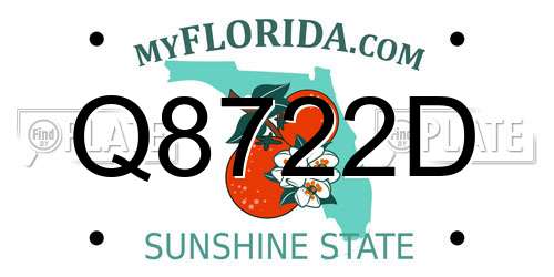 Q8722D Florida License Plate