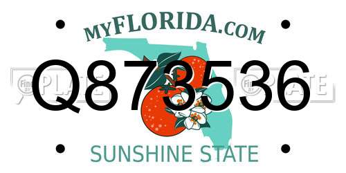 Q873536 Florida License Plate