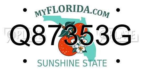 Q87353G Florida License Plate