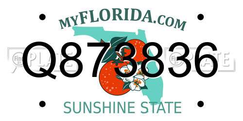 Q873836 Florida License Plate