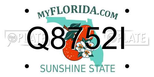 Q8752I Florida License Plate