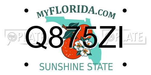 Q875ZI Florida License Plate
