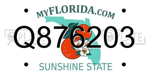 Q876203 Florida License Plate
